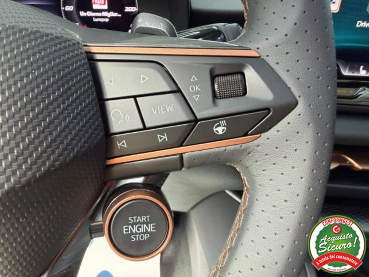 Cupra Terramar 1.5 hybrid 150cv dsg (20)