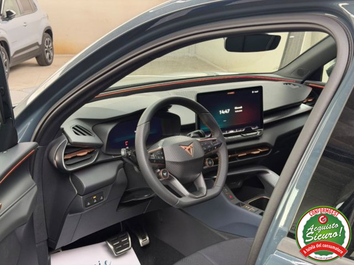 Cupra Terramar 1.5 hybrid 150cv dsg (6)