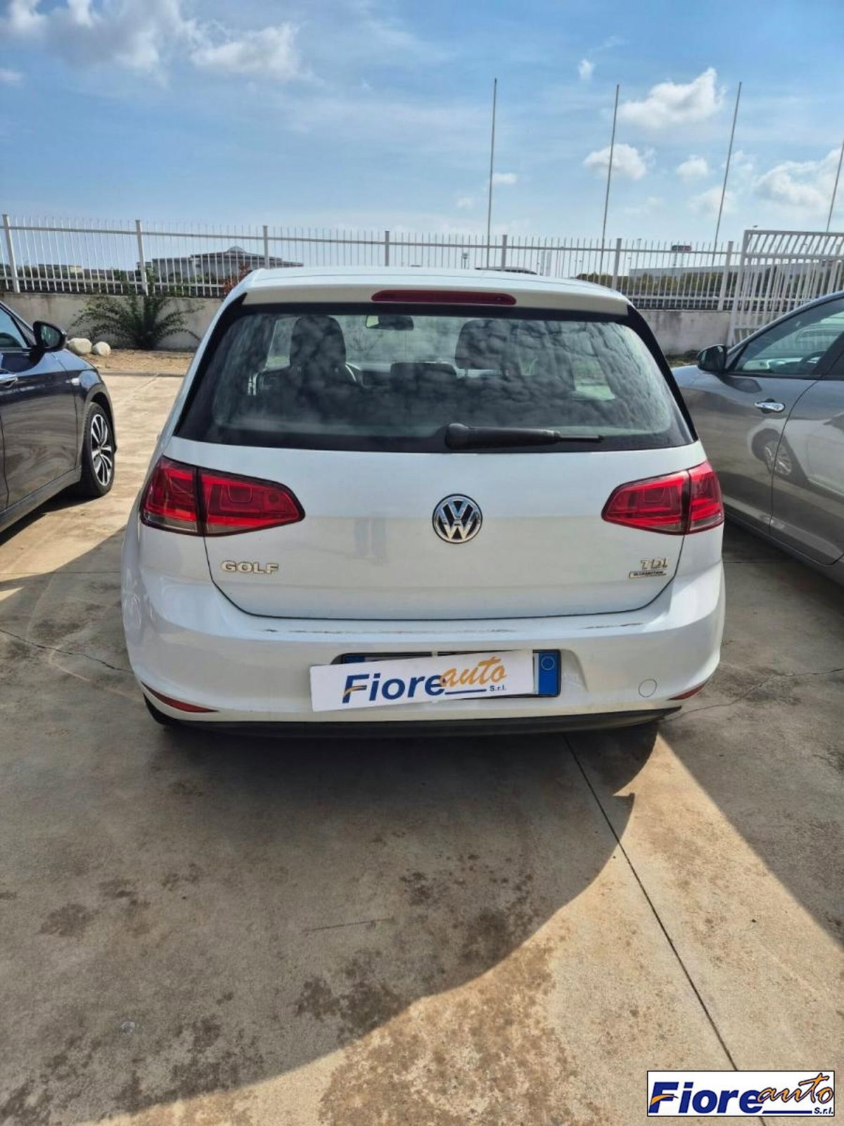Volkswagen Golf 1.6 TDI 90 CV 5p. Trendline BlueMotion Technology (7)