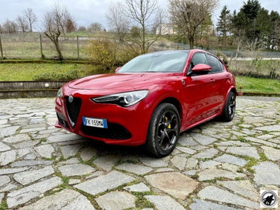 Alfa Romeo Stelvio Stelvio 2.0 Turbo 280 CV AT8 Q4 Super usata