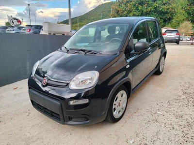 Fiat Panda Cross Cross 1.0 FireFly S&S Hybrid usata