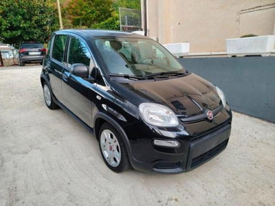Fiat Panda Cross Cross 1.0 FireFly S&S Hybrid (15)