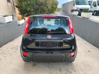 Fiat Panda Cross Cross 1.0 FireFly S&S Hybrid (17)