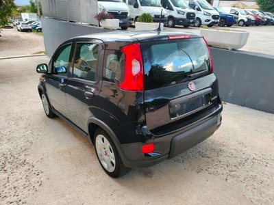 Fiat Panda Cross Cross 1.0 FireFly S&S Hybrid (2)