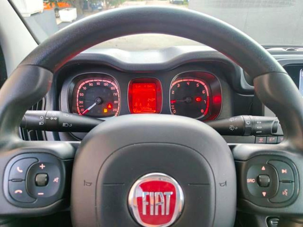 Fiat Panda Cross Cross 1.0 FireFly S&S Hybrid (8)