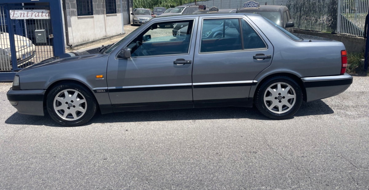 Lancia Thema cat (2)