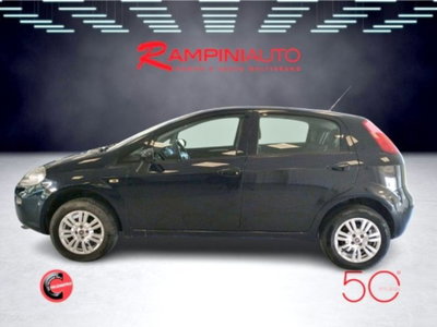 Fiat Punto 1.4 8V 5 porte Natural Power Lounge (11)