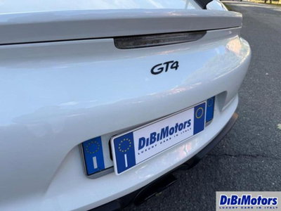 Porsche Cayman 3.4 R (14)