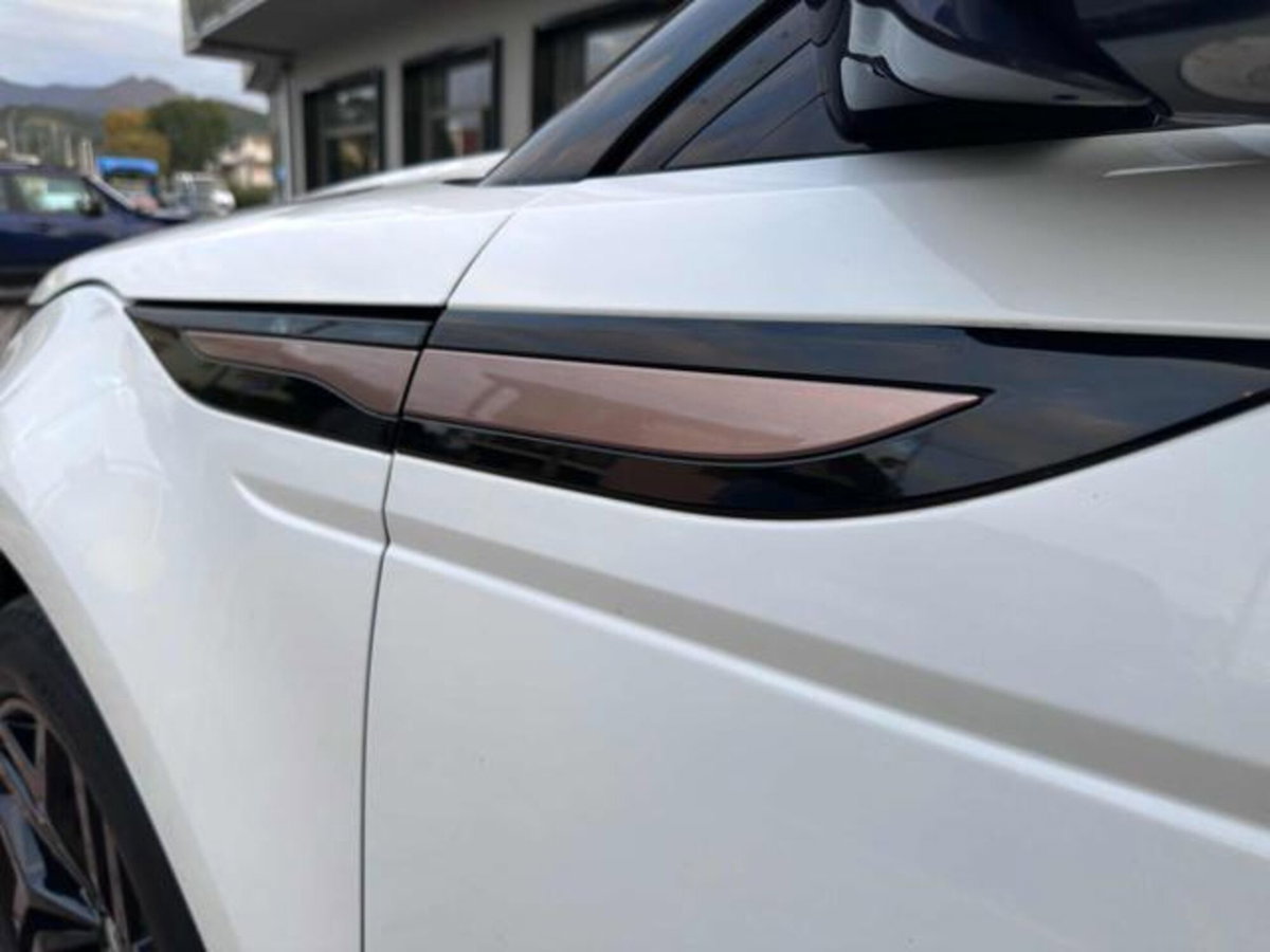Land Rover Range Rover Evoque 2.0D I4 180 CV AWD Auto R-Dynamic (19)
