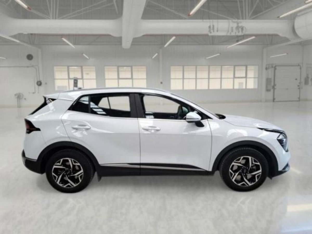 Kia Sportage 1.6 crdi mhev Business dct (5)