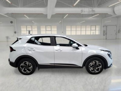 Kia Sportage 1.6 crdi mhev Business dct (5)