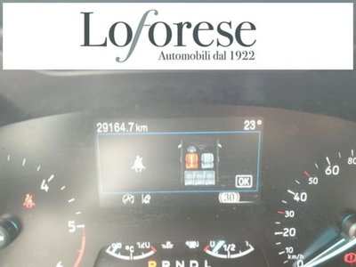 Ford Focus 1.5 EcoBlue 115 CV automatico 5p. ST-Line Style (13)