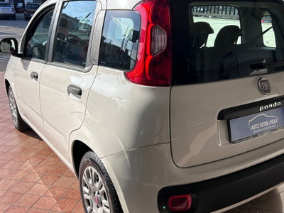 Fiat Panda 1.2 Easy (6)