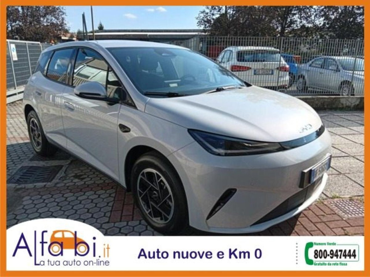 Byd Dolphin G DM-i 1.5 phev Active 175cv (3)