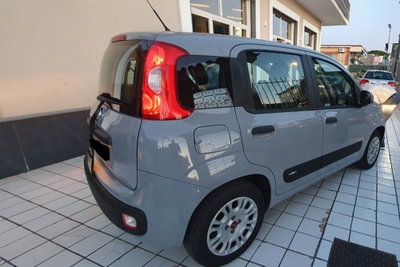 Fiat Panda 1.2 Lounge (14)