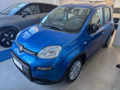 Fiat Panda 1.0 firefly hybrid s&s 70cv 5p.ti usata