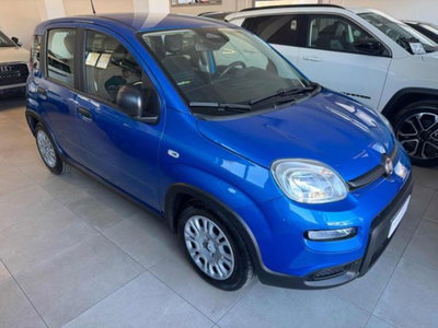 Fiat Panda 1.0 firefly hybrid s&s 70cv 5p.ti (2)