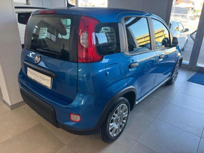Fiat Panda 1.0 firefly hybrid s&s 70cv 5p.ti (3)