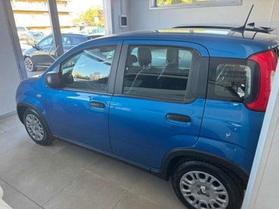 Fiat Panda 1.0 firefly hybrid s&s 70cv 5p.ti (5)