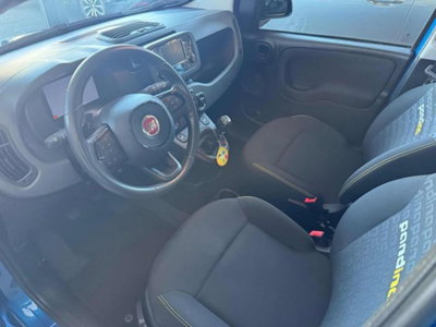 Fiat Panda 1.0 firefly hybrid s&s 70cv 5p.ti (7)