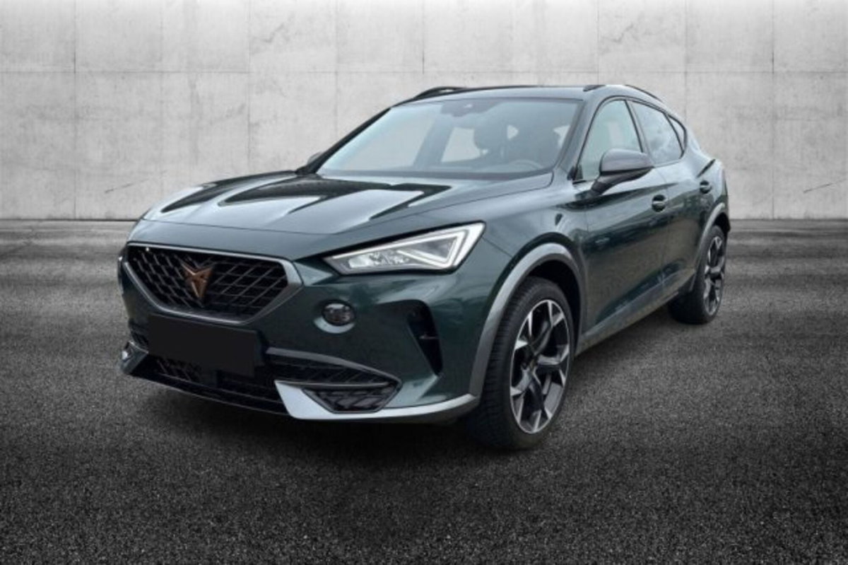 Cupra Formentor Formentor 2.0 tdi 4drive 150cv dsg