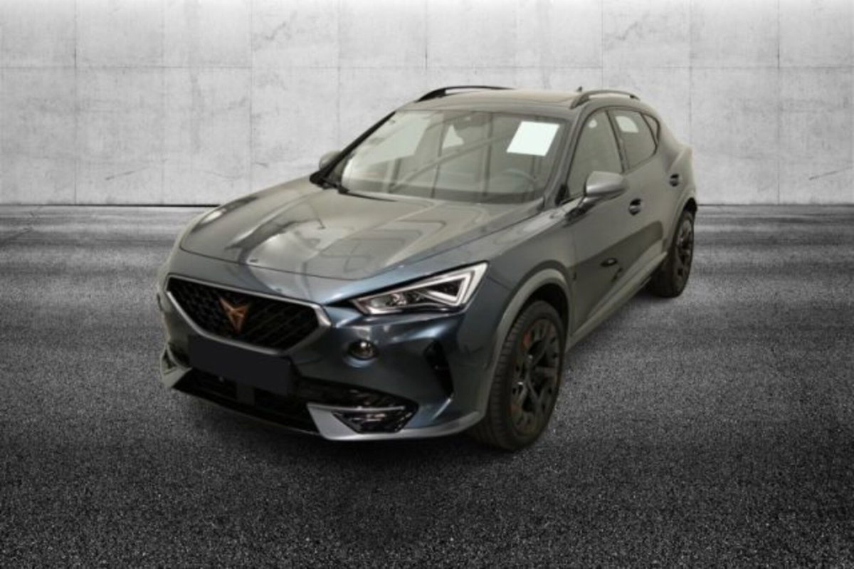 Cupra Formentor Formentor 2.0 tdi 4drive 150cv dsg
