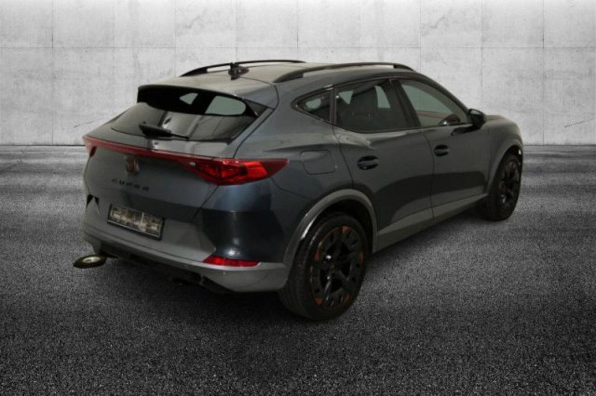 Cupra Formentor Formentor 2.0 tdi 4drive 150cv dsg (3)