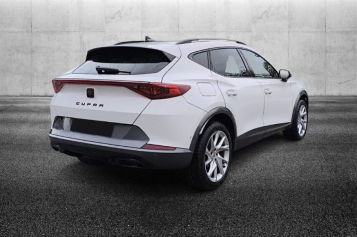 Cupra Formentor Formentor 2.0 tdi 4drive 150cv dsg (3)
