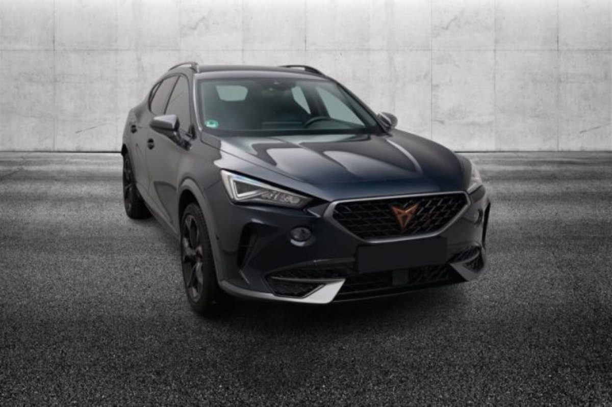 Cupra Formentor Formentor 2.0 TSI DSG VZ (2)