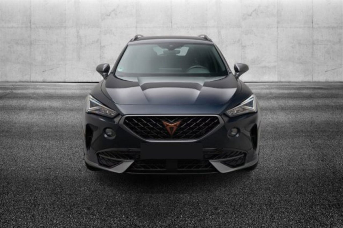 Cupra Formentor Formentor 2.0 TSI DSG VZ (5)
