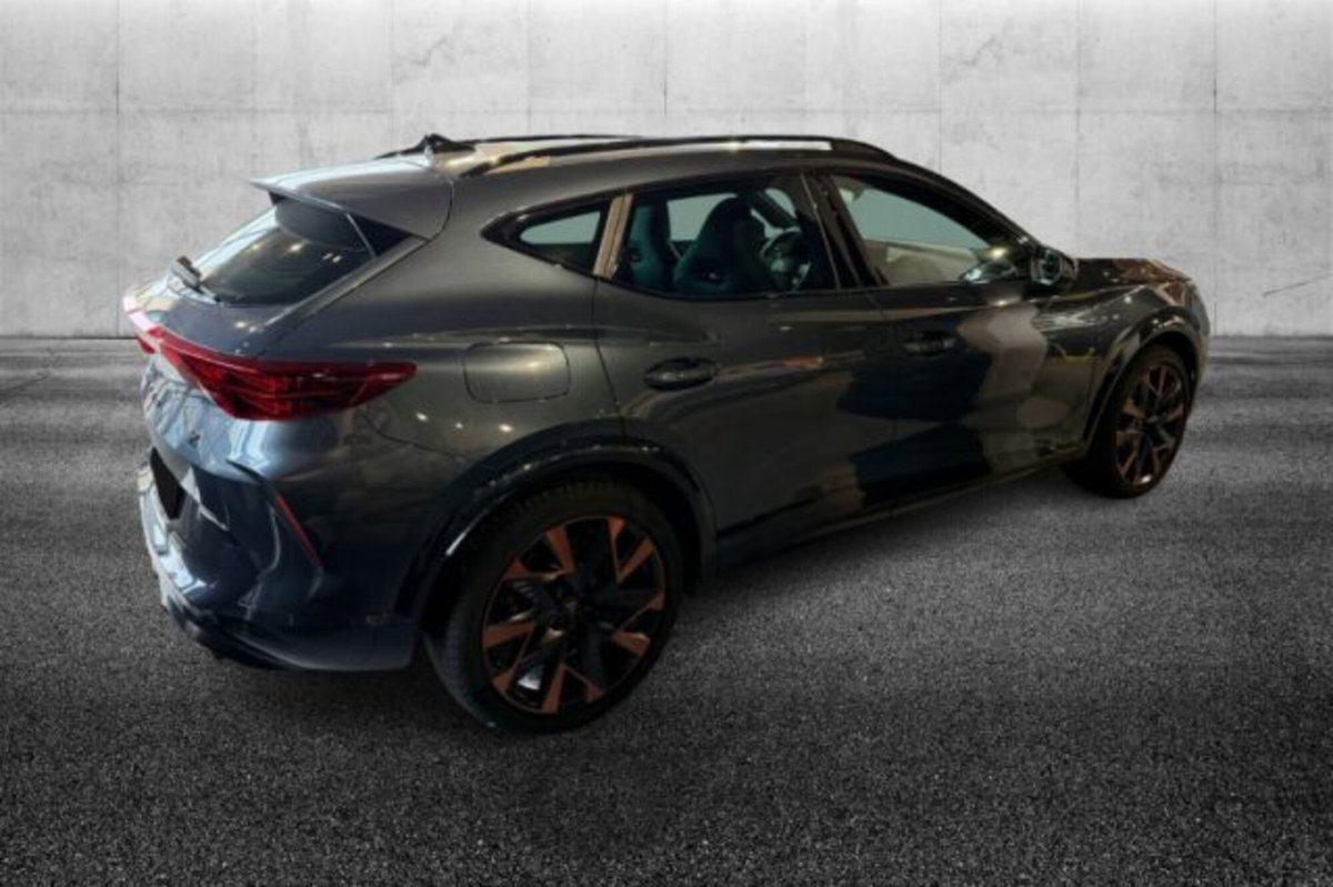 Cupra Formentor 2.0 tsi VZ 4drive 333cv dsg (3)