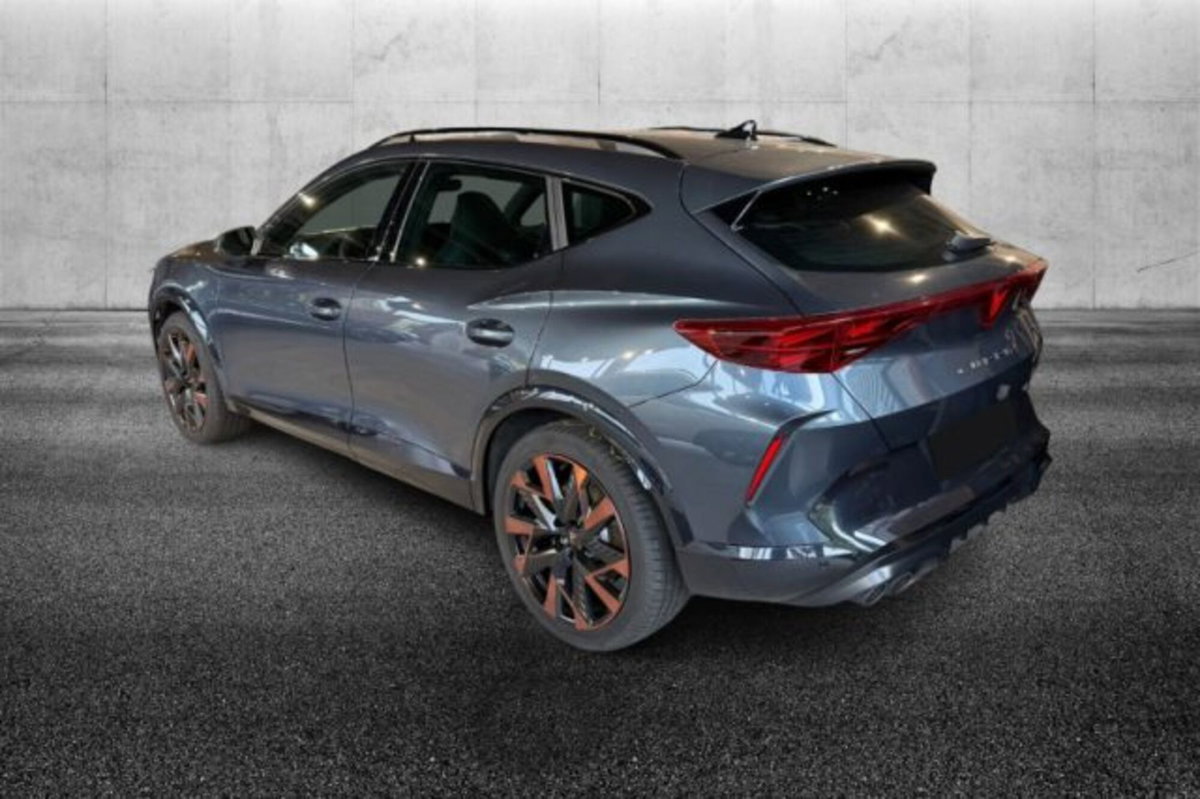 Cupra Formentor 2.0 tsi VZ 4drive 333cv dsg (4)