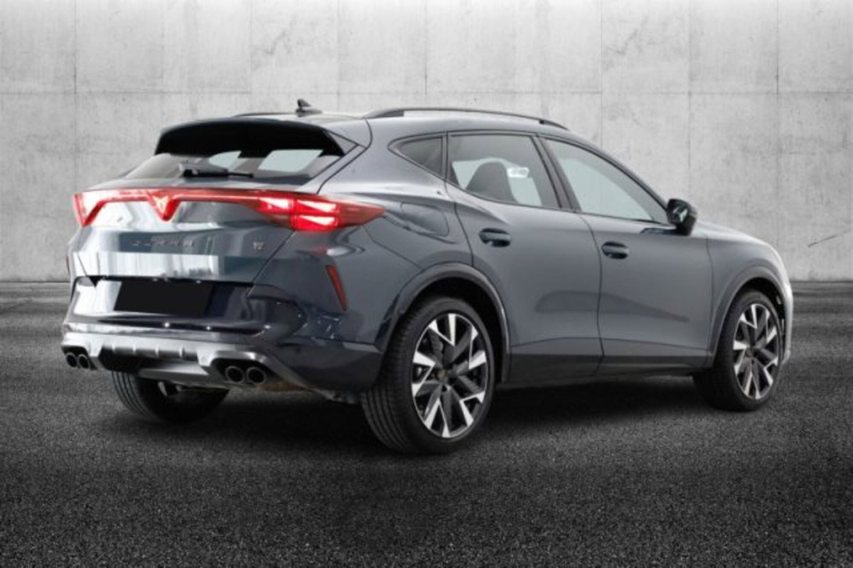 Cupra Formentor 2.0 tsi VZ 4drive 333cv dsg (3)