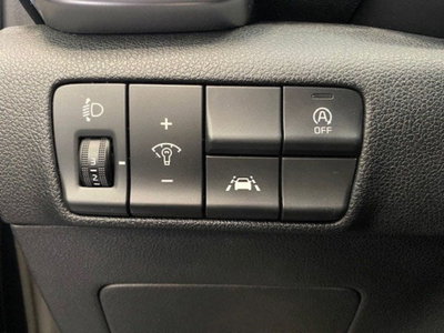 Kia Sportage 1.6 CRDI 136 CV DCT7 2WD Mild Hybrid Style (14)