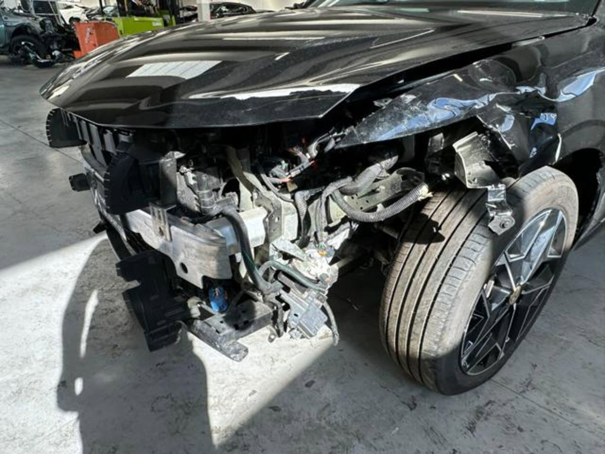 Ds DS 4 1.6 phev Etoile Pelle Nappa 225cv auto (11)