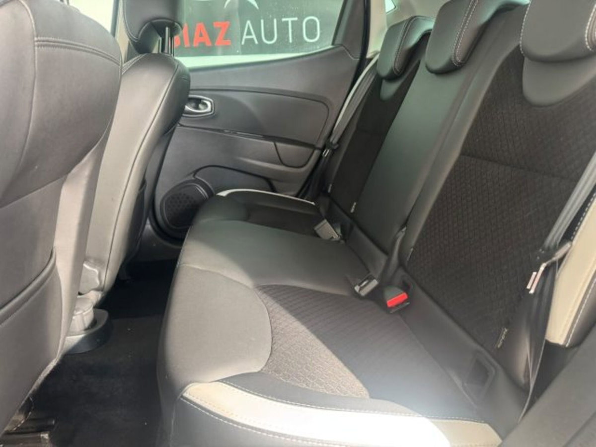 Renault Clio TCe 120CV Start&Stop 5 porte Energy Intens (15)