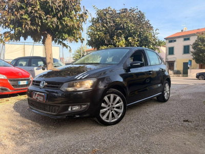 Volkswagen Polo 1.6 TDI DPF 5 porte Trendline (2)