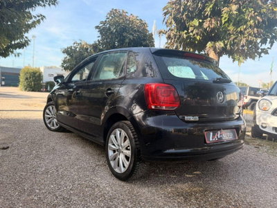 Volkswagen Polo 1.6 TDI DPF 5 porte Trendline (3)