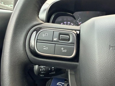 Citroen C3 Aircross 1.5 bluehdi You s&s 110cv (13)