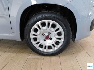 Fiat Panda Cross Cross 1.0 FireFly S&S Hybrid (5)