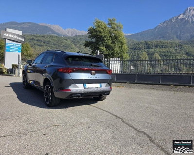 Cupra Formentor Formentor 2.0 tdi 4drive 150cv dsg (11)