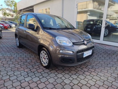 Fiat Panda 1.0 FireFly S&S Hybrid Easy usata