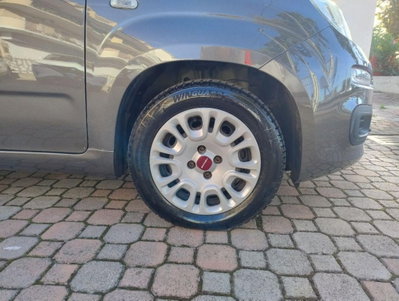 Fiat Panda 1.0 FireFly S&S Hybrid Easy (2)