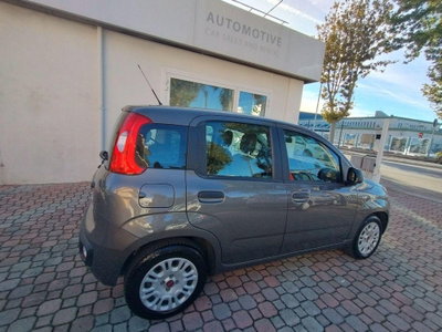 Fiat Panda 1.0 FireFly S&S Hybrid Easy (4)