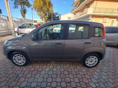 Fiat Panda 1.0 FireFly S&S Hybrid Easy (7)