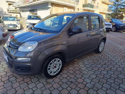 Fiat Panda 1.0 FireFly S&S Hybrid Easy (8)