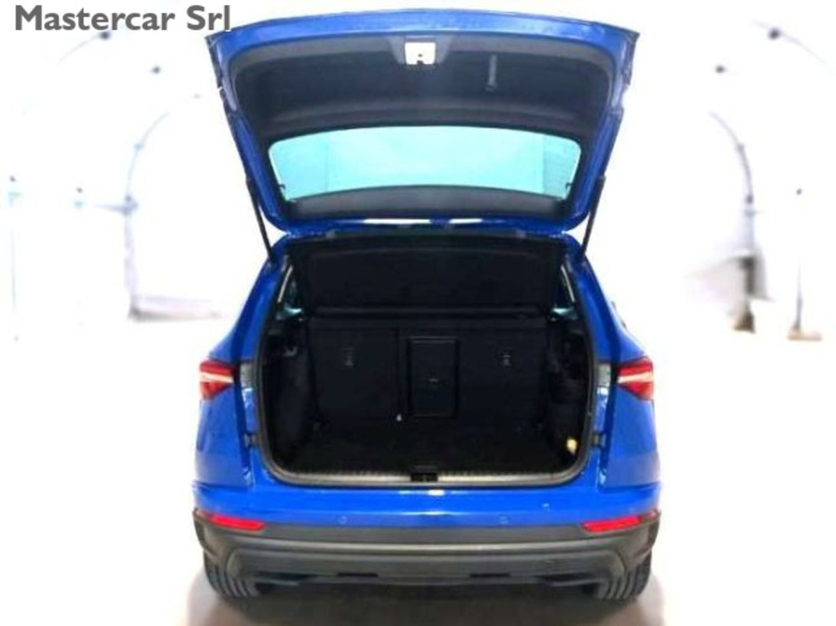 Skoda Karoq 2.0 TDI EVO SCR 115 CV DSG Executive (12)