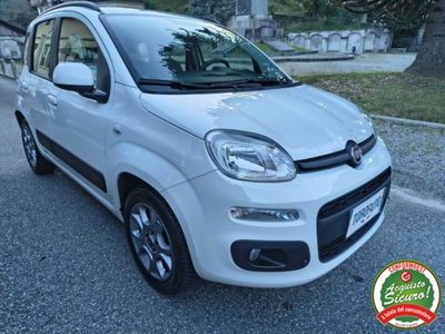 Fiat Panda 1.2 Lounge usata