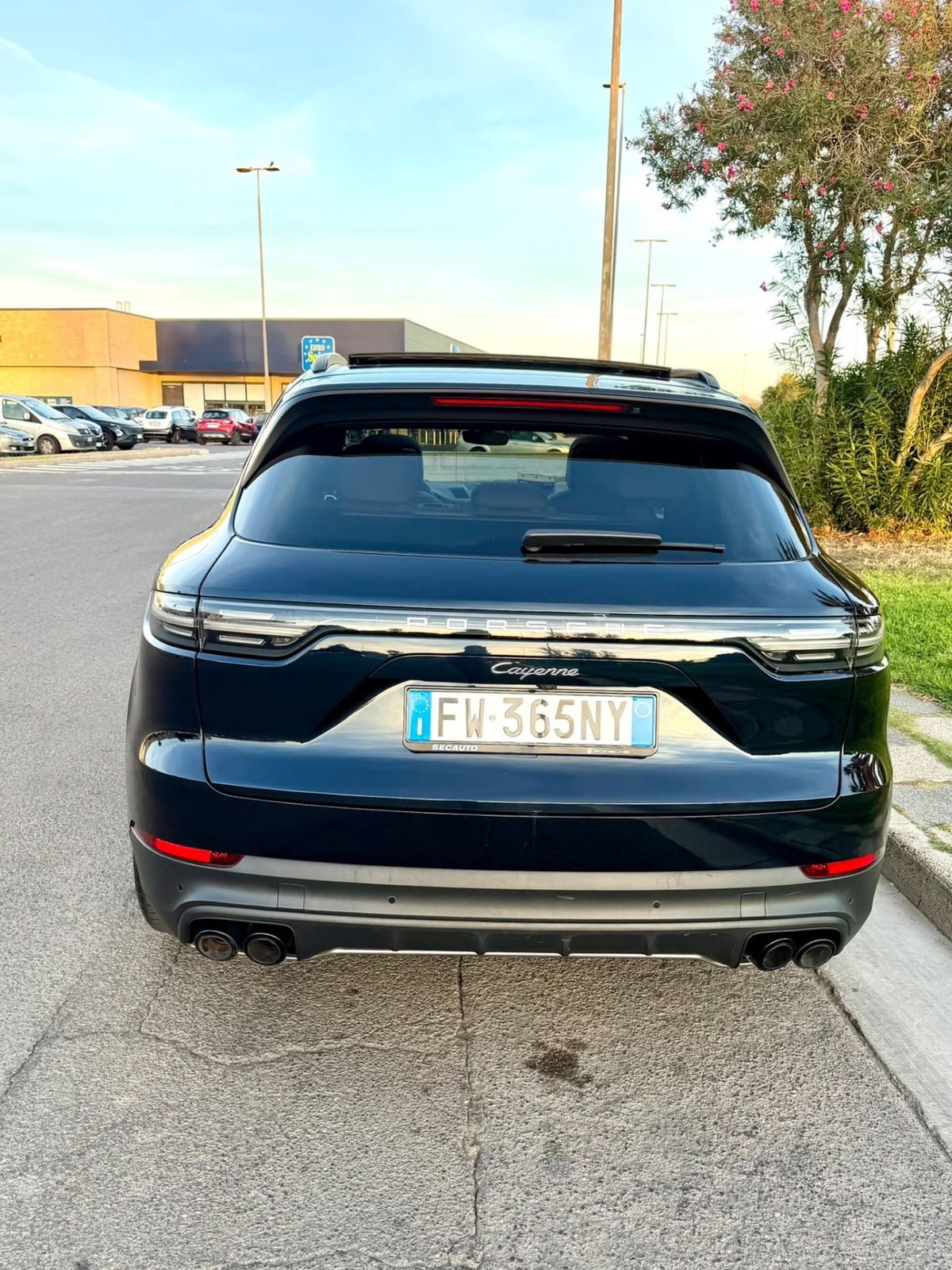 Porsche Cayenne 3.0 V6 (11)