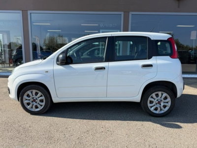 Fiat Panda 0.9 TwinAir Turbo Natural Power Easy usata